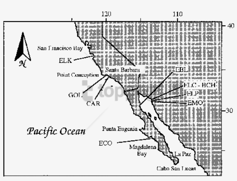 Free Png Map Png Image With Transparent Background - Map, transparent png download