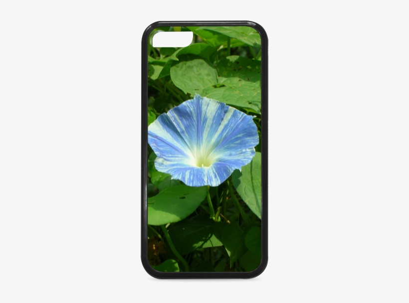 Mobile Phone Case, transparent png download
