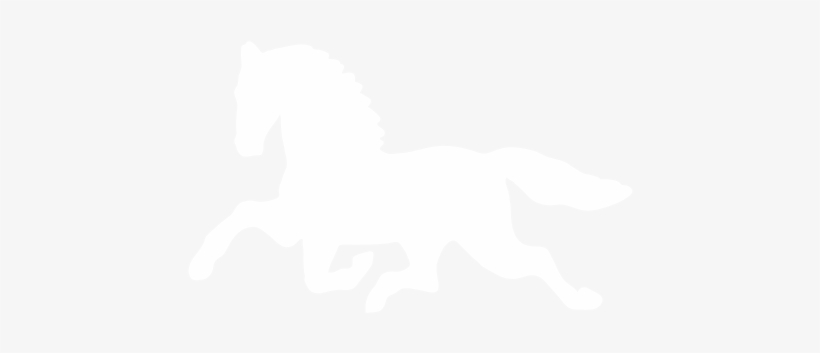 Stallion, transparent png download