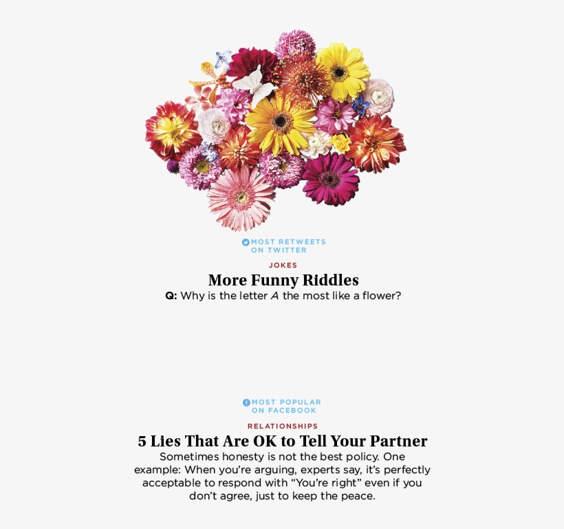 Slide Show Overlay - Bouquet, transparent png download