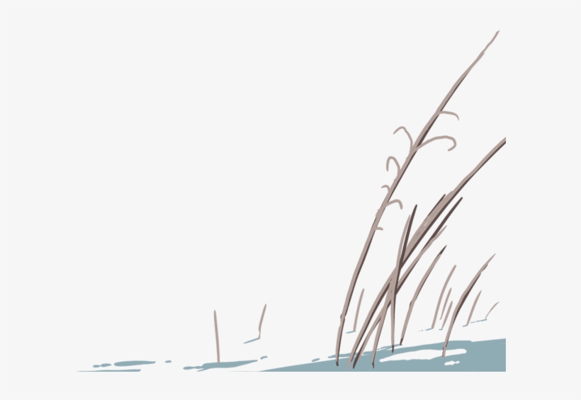 Illustration Of Tall Dead Grass In The Foreground - Narrow-body Aircraft, transparent png download