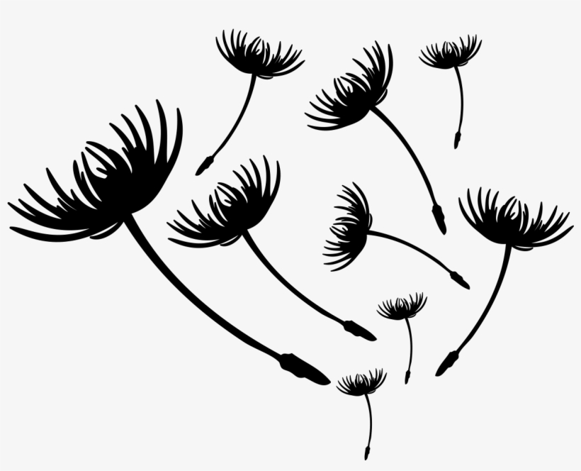 Sticker Fleurs Pissenlits Sous Le Vent Ambiance Sticker, transparent png download