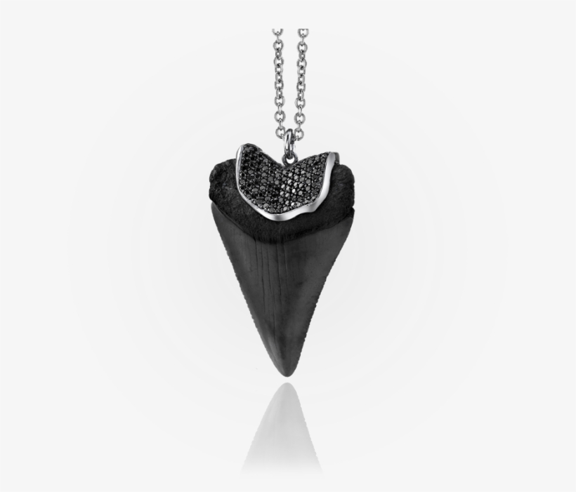 Shark Tooth Black - Locket, transparent png download