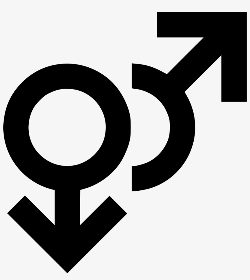 Png File Svg - Icon, transparent png download