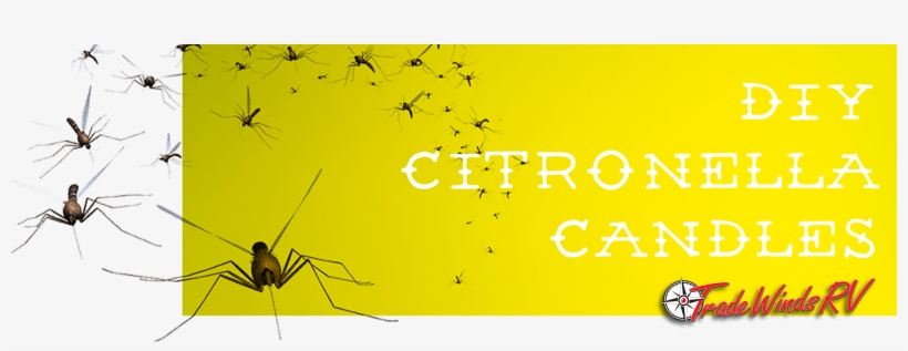 Bugs Buzzing Around Your Head Can Ruin A Great Camping - Swarm Of Mosquitoes, transparent png download