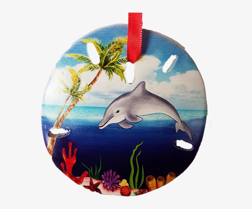 S1020-21 Sand Dollar Dolphin Palm - Common Dolphins, transparent png download