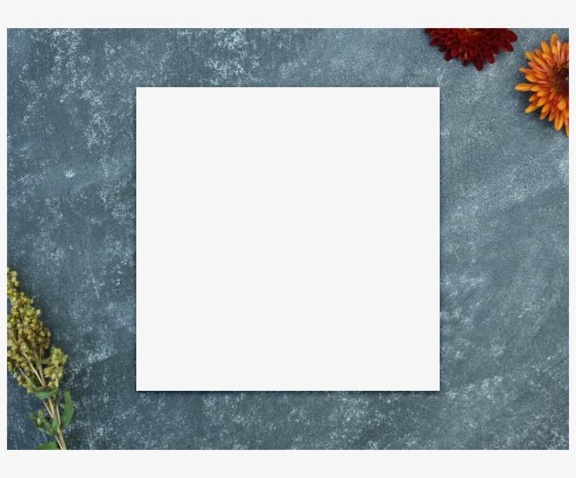 Zoom - Chrysanths, transparent png download