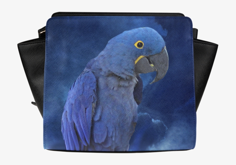 Macaw, transparent png download