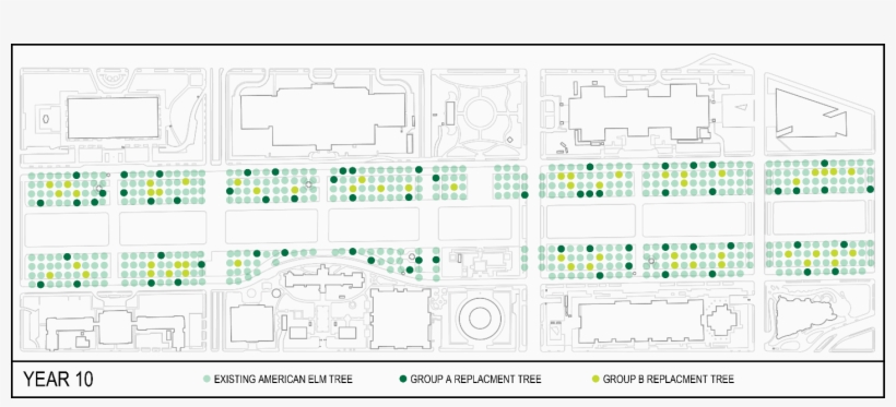 Continuing To Assume That 10 Trees Are Being Replaced - Diagram, transparent png download