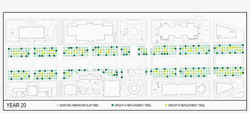 Continuing To Assume That 10 Trees Are Being Replaced - Diagram, transparent png download