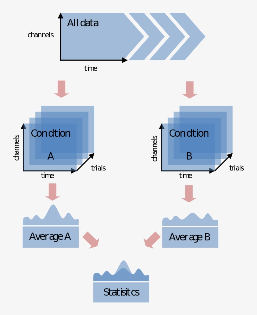 Data Structure In Fieldtrip - Diagram, transparent png download