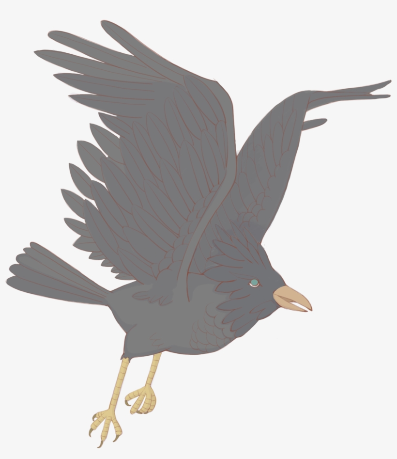 Hand Drawn Grey Crow Bird Png And Psd - Vẽ Quạ, transparent png download