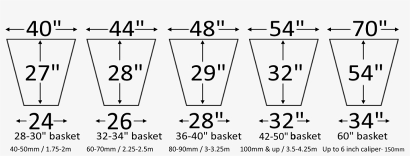 How Big Should I Dig My Hole What Size Are The Baskets/pots - Number, transparent png download