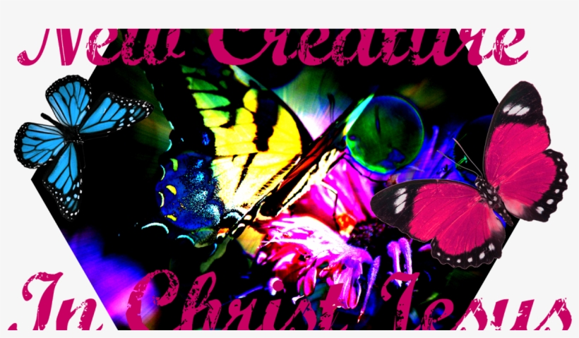 Graphic Design, transparent png download