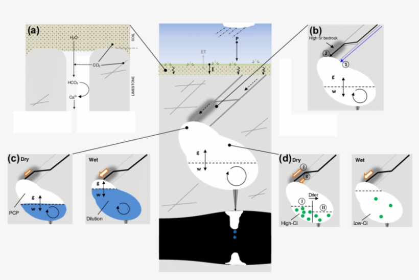 Conceptual Model Summarizing Key Process Affecting - Cartoon, transparent png download