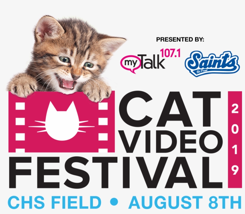 Cat Video Festival Presented Mytalk And The Paul Saints - Kitten, transparent png download