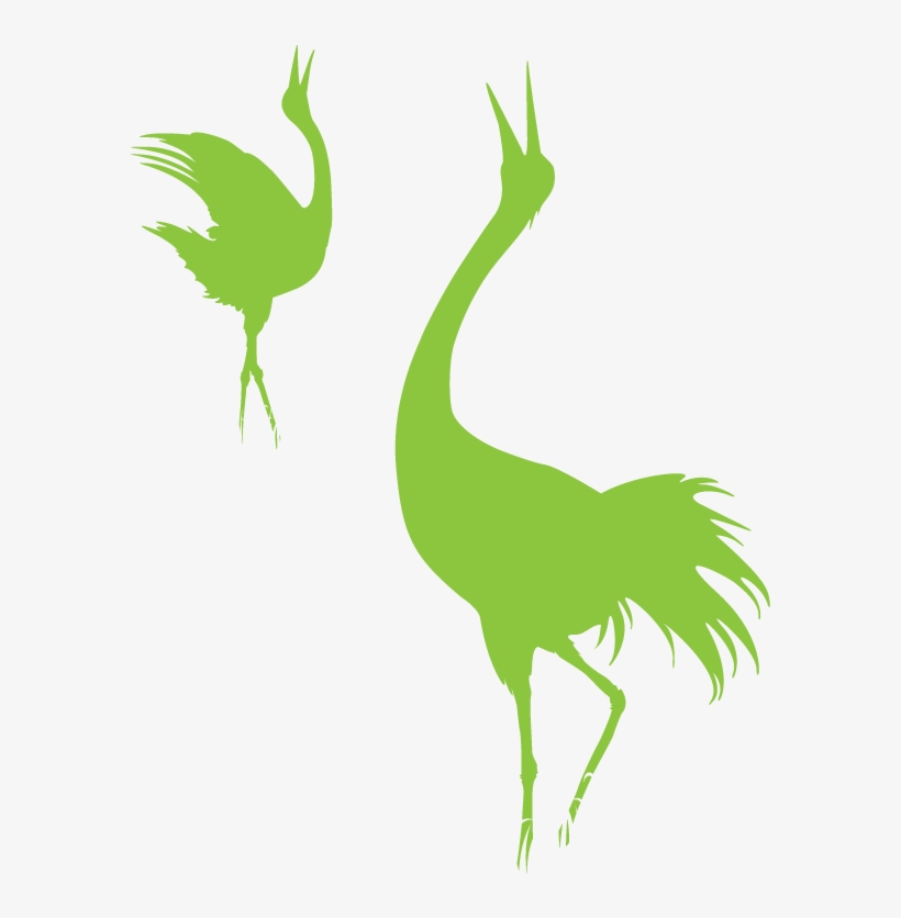 01-og - Crane-like Bird, transparent png download