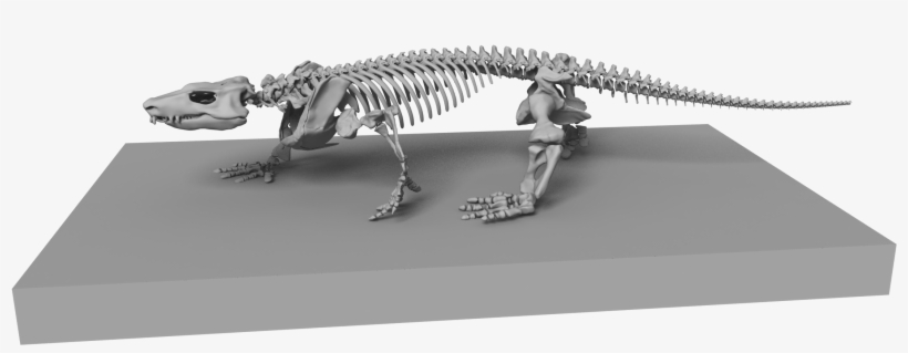 Orobates Reko - Orobates, transparent png download