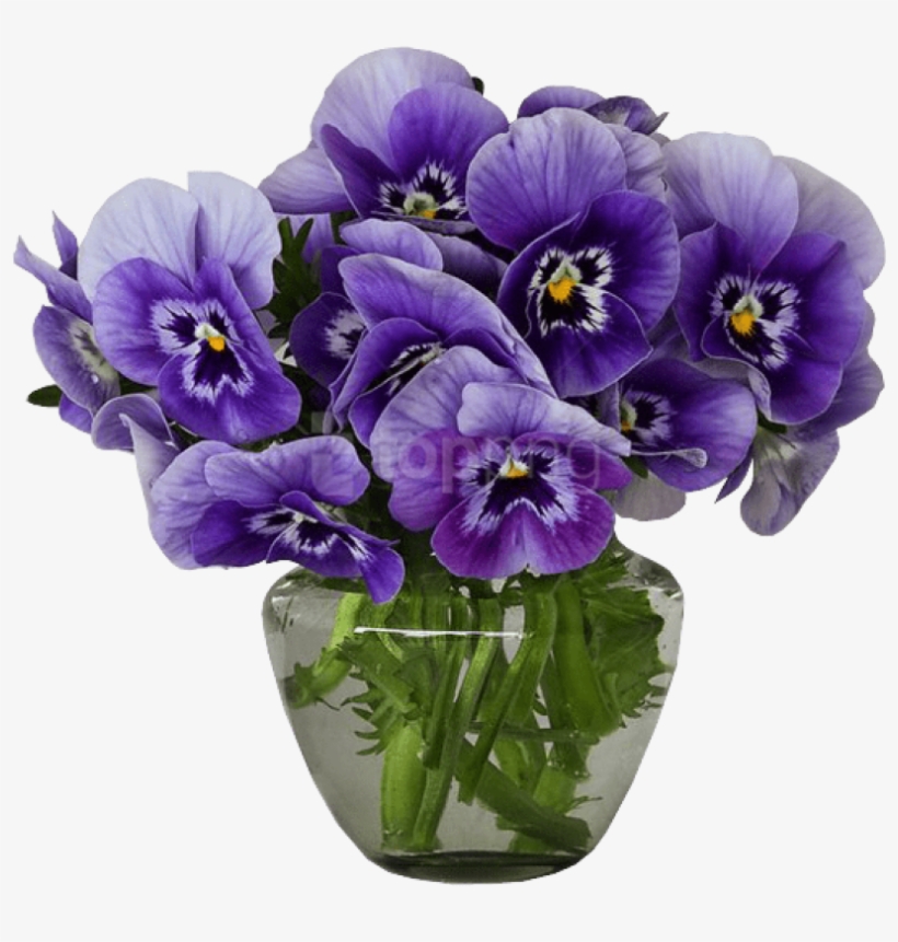 Download Violets Vase Bouquet Png Images Background - Violets In A Vase, transparent png download