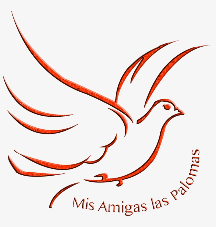 Newsletter Trimestral - 1-2014 - Illustration, transparent png download