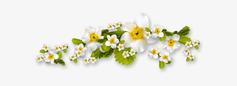 Palomas De Boda Png - Paloma De Boda Png, transparent png download