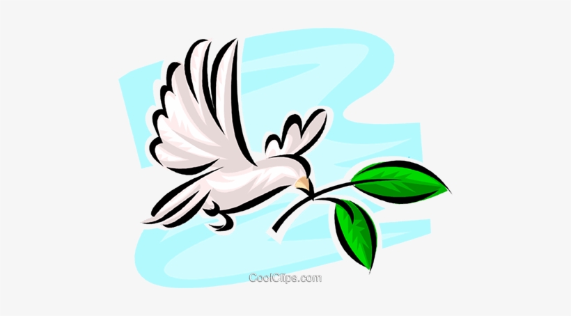 Palomas De La Paz Libres De Derechos Ilustraciones - Illustration, transparent png download