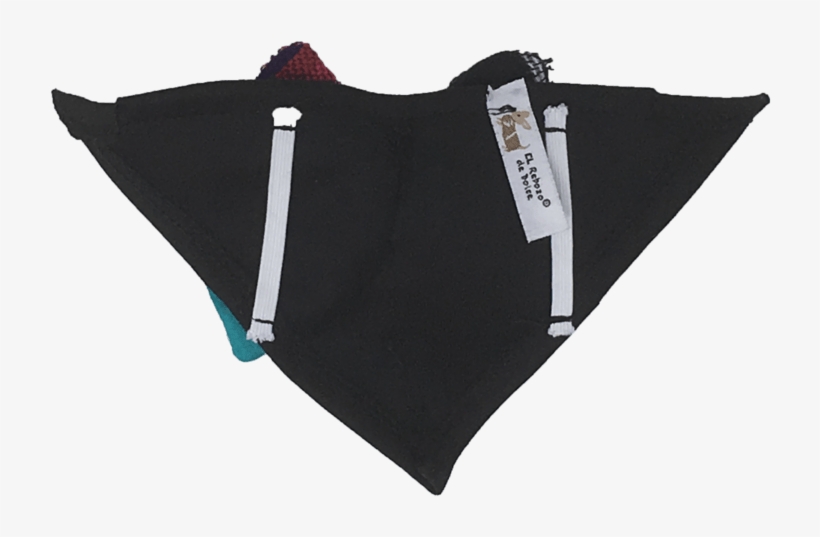 Panties, transparent png download