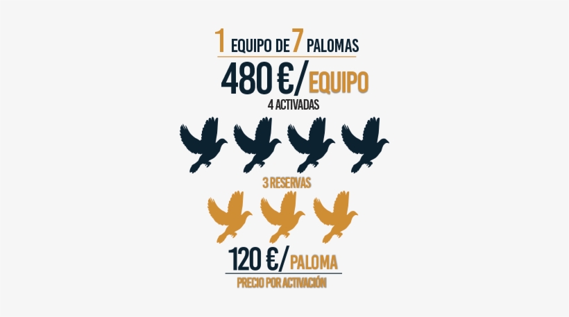 ¿listo Para Ser El Próximo Campeón - Costa Del Sol, transparent png download