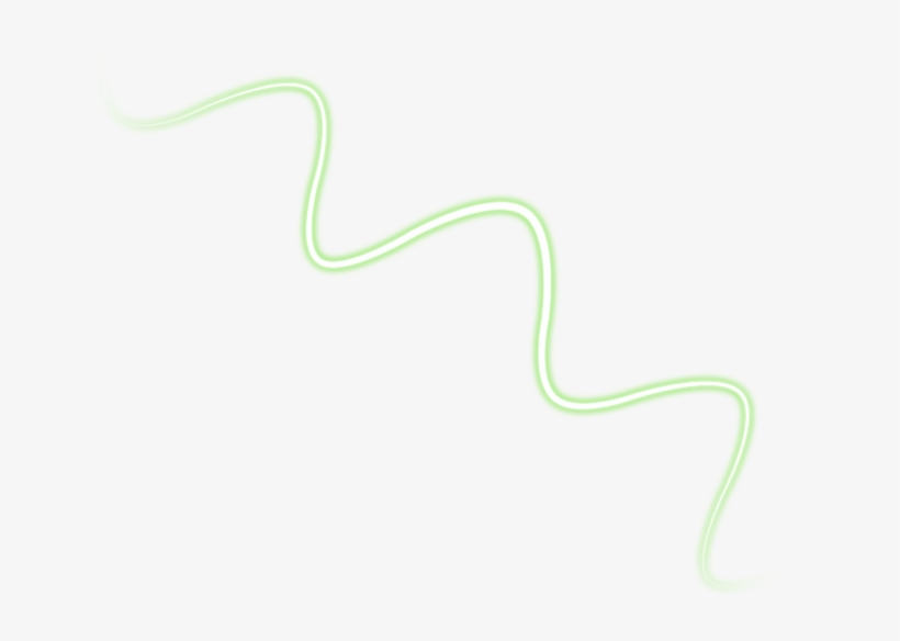 Publicado 1st February 2013 Por Aka Smulski - Vine Snake, transparent png download