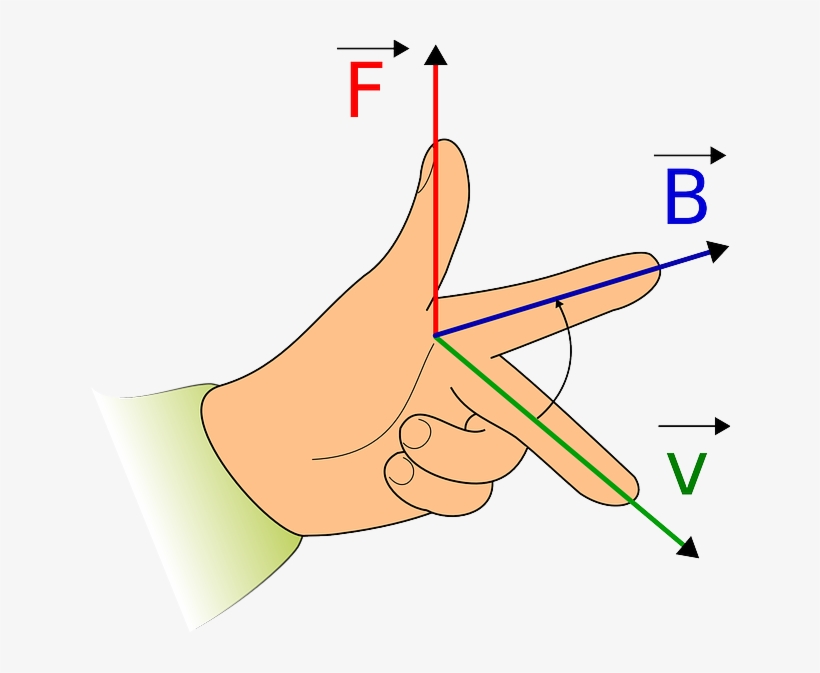 En Este Momento Definimos Un Vector Unitario Como Aquel - Force On A Current Carrying Conductor In Magnetic Field, transparent png download