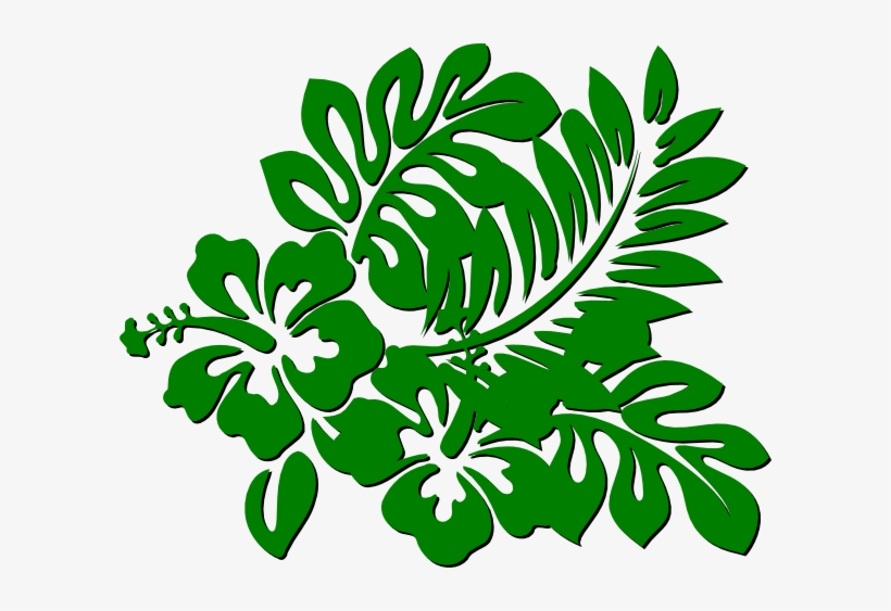 Rainforest - Hibiscus Clip Art, transparent png download