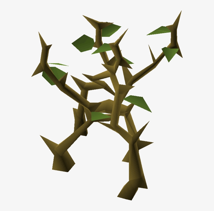 Medium Jungle - Wiki, transparent png download