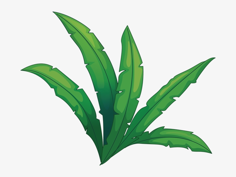 Zebugraphant - - Illustration Of A Rabbit On A Stump Wit King Duvet, transparent png download