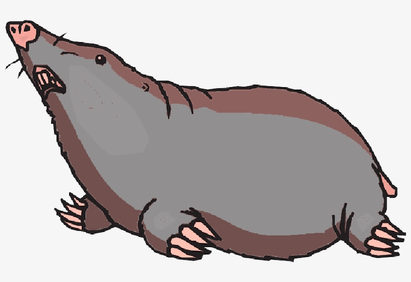 Mb Image/png - Mole Clipart, transparent png download