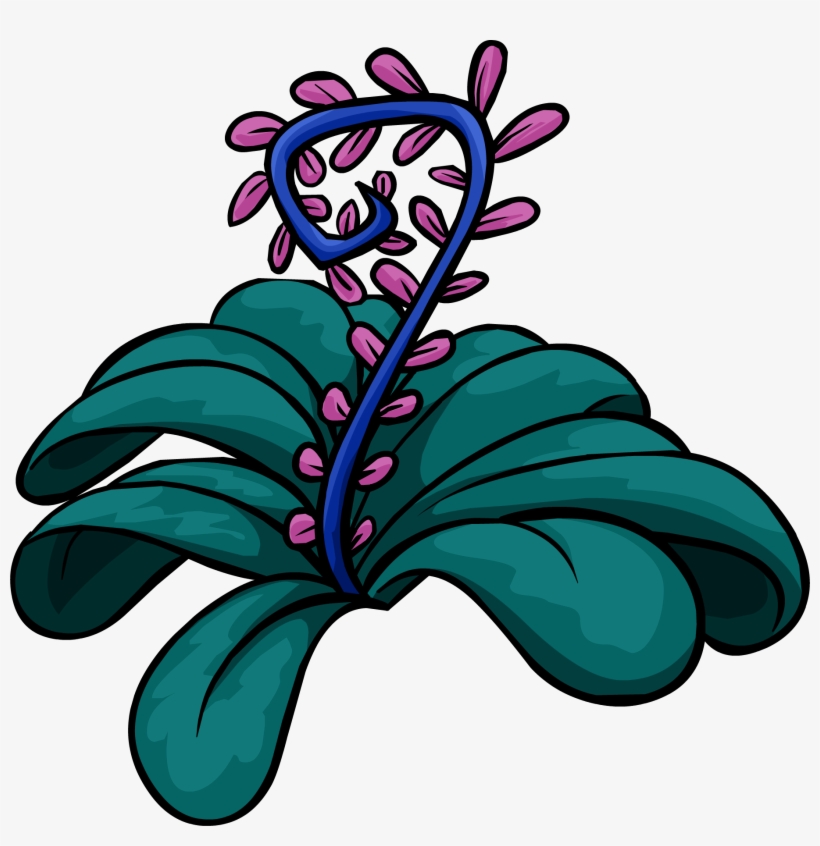 Jungle Bloom - Flor De La Selva, transparent png download