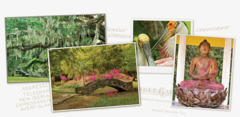 Home Collage 08 - Portable Network Graphics, transparent png download