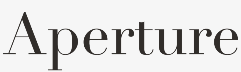 Vertical Leap: How Jesus Found New York City Basketball, transparent png download