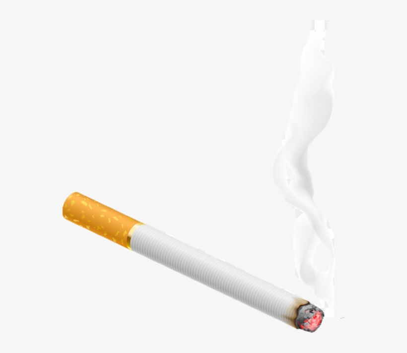 Still Life Photography, transparent png download