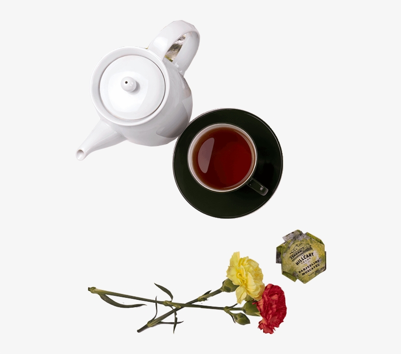 Nutritional Information - Garden Roses, transparent png download