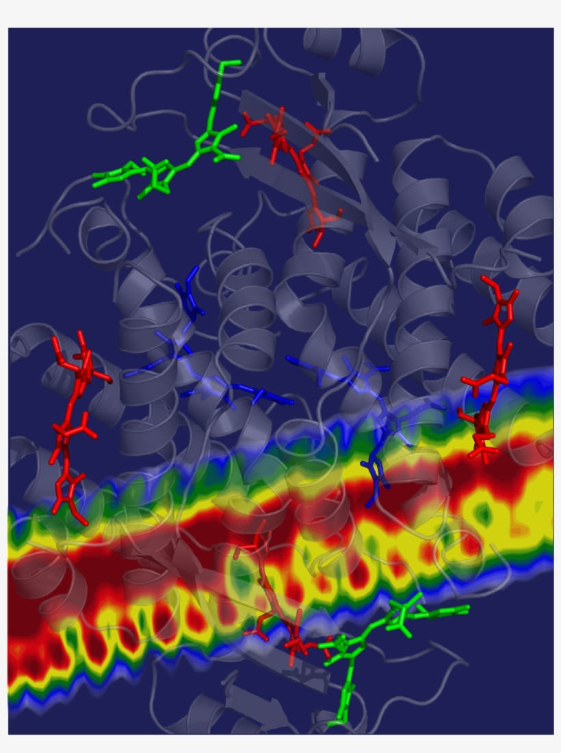 Research Photo - Graphic Design, transparent png download
