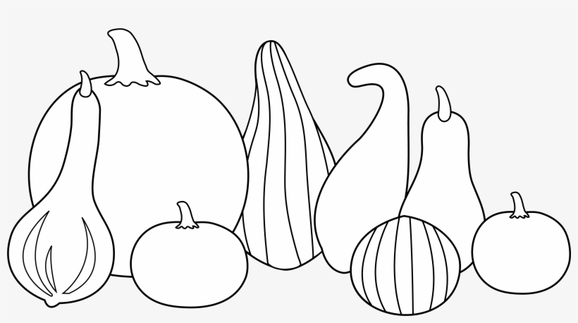 Thanksgiving Clipart Gourd - Clip Art, transparent png download