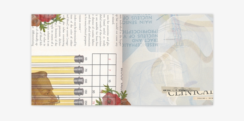 Various Illustration Spreads Focusing On Several Different - Paper, transparent png download