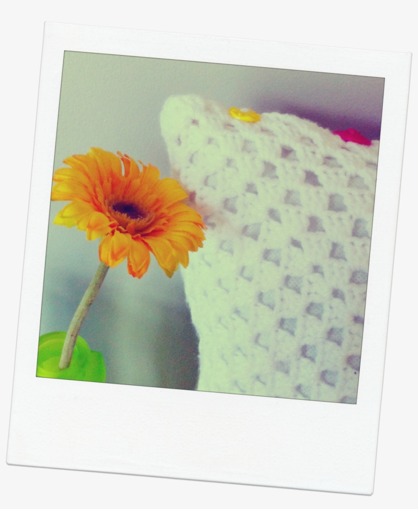 Cushion And Flower - Gerbera, transparent png download