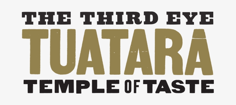 The Third Eye - Third Eye Tuatara, transparent png download