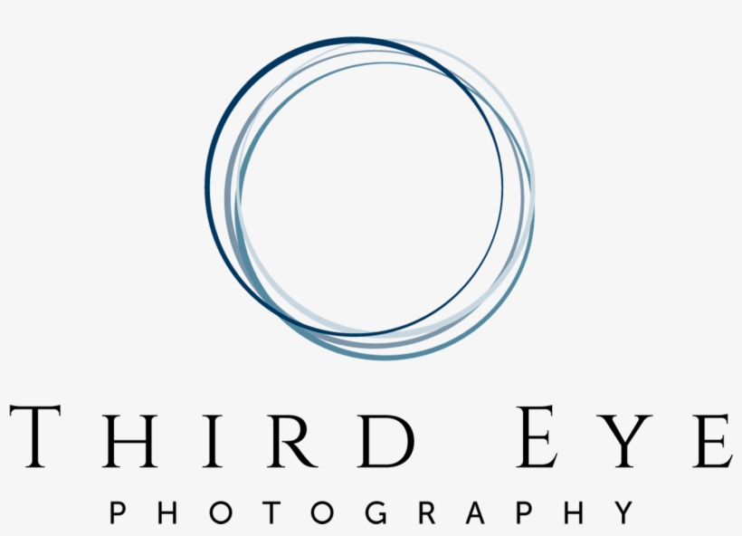 Weddings & Portrait Photography Capturing Moments For - Circle, transparent png download