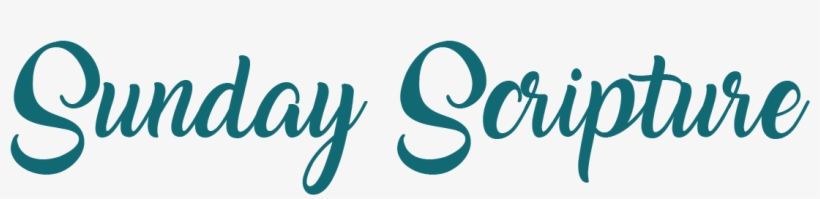 Each Sunday For A Month We Are Going To Focus On A - Calligraphy, transparent png download