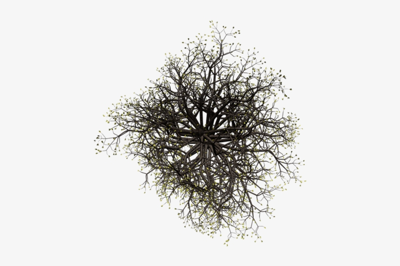 Here Is A Smaller Version Of A Late-fall Tree - Clip Art, transparent png download