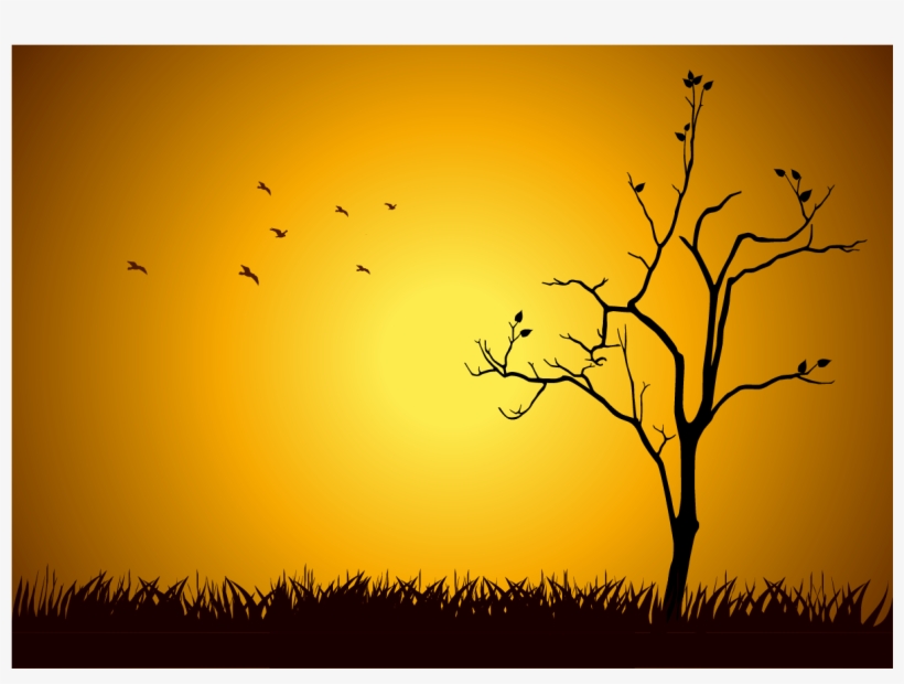 When A Tree Is Obviously Not Doing Well, You Will Probably - Art Print: Rudall30's Hope, 61x46cm., transparent png download