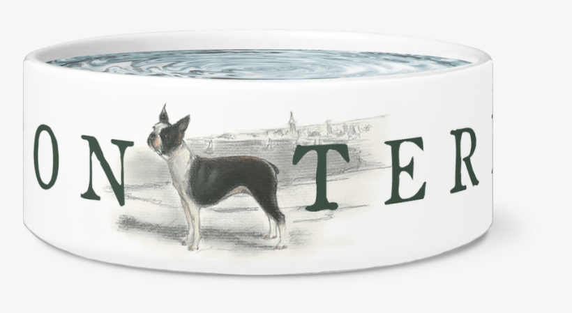 Boston Terrier Water Or Food Bowl - Bull Terrier, transparent png download