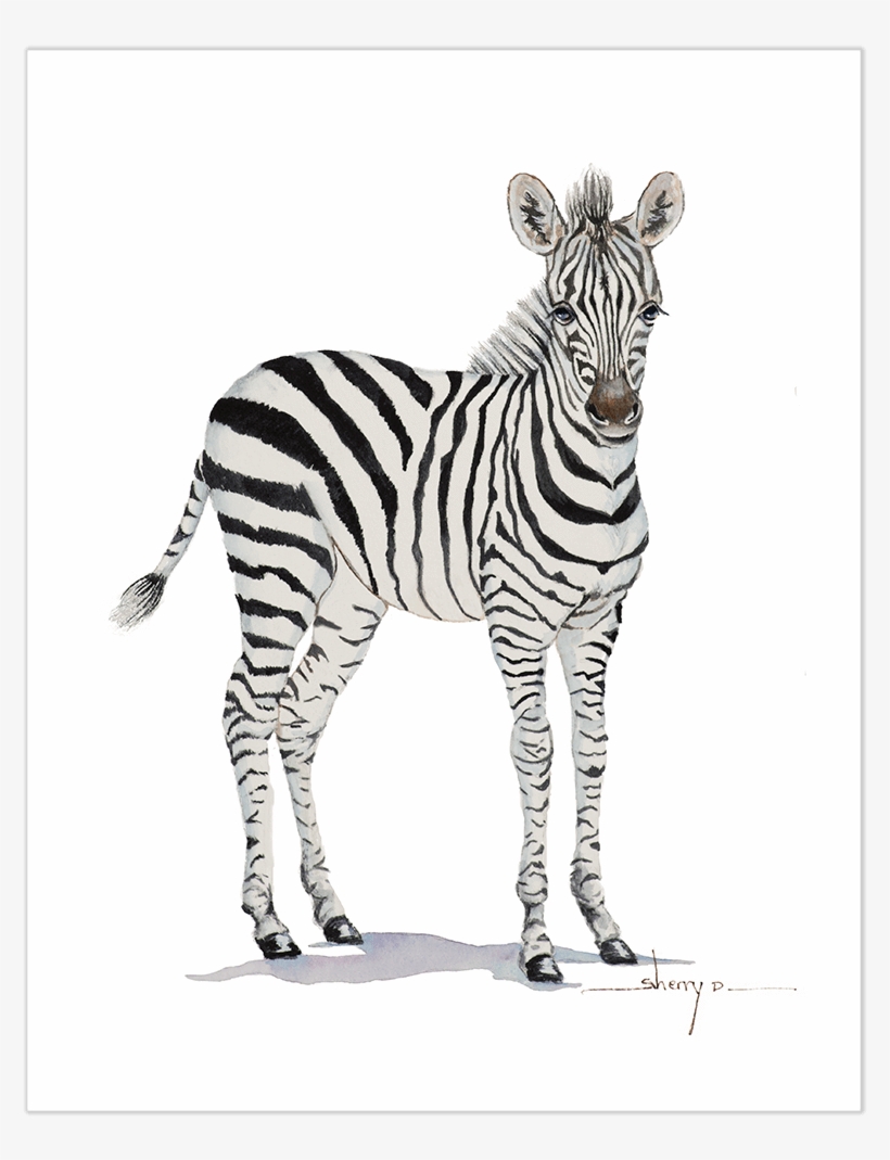 Baby Zebra Wall Art - Painting, transparent png download